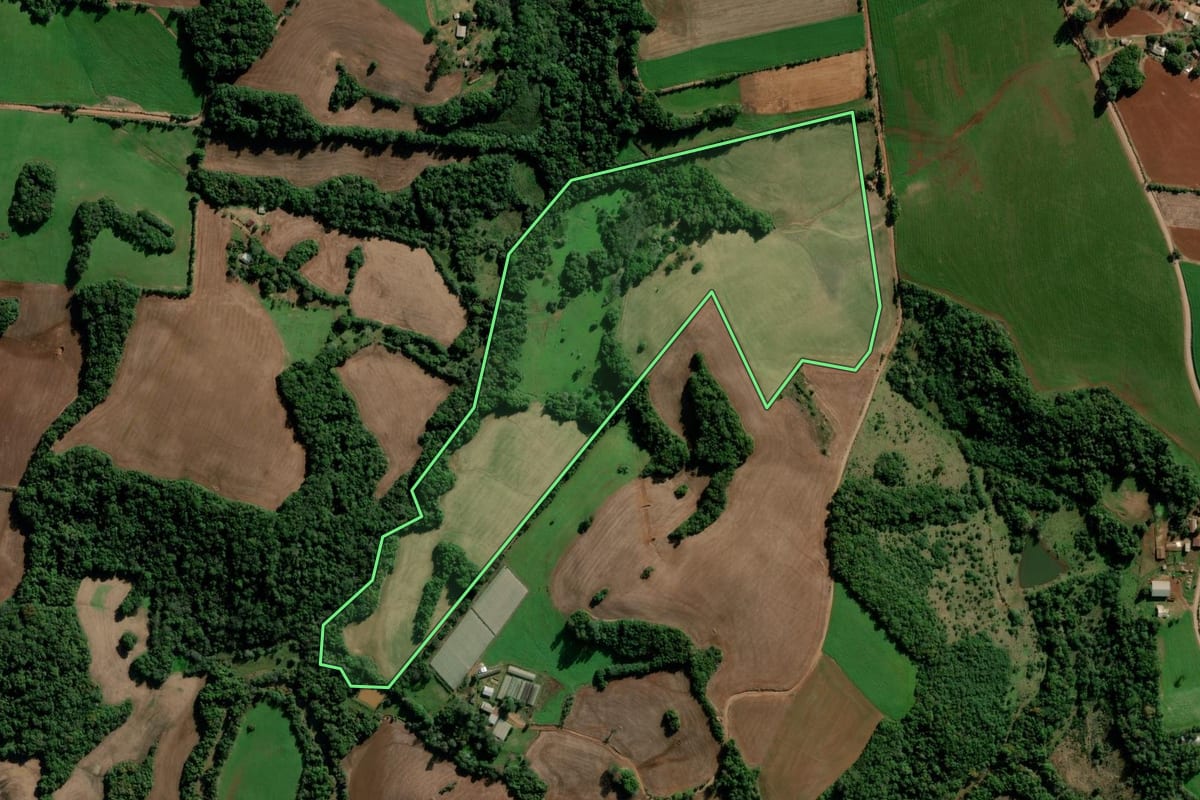 Imagem de satélite do imóvel rural em Boa Vista do Cadeado (RS), com o contorno declarado no CAR desenhado por cima.