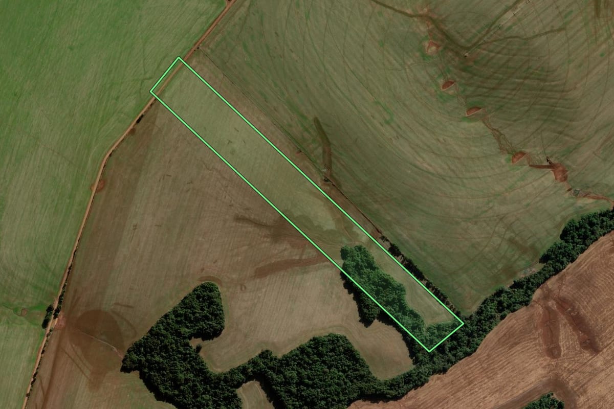Imagem de satélite do imóvel rural em Boa Vista do Cadeado (RS), com o contorno declarado no CAR desenhado por cima.