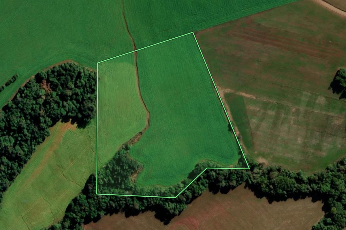 Imagem de satélite do imóvel rural em Boa Vista do Cadeado (RS), com o contorno declarado no CAR desenhado por cima.