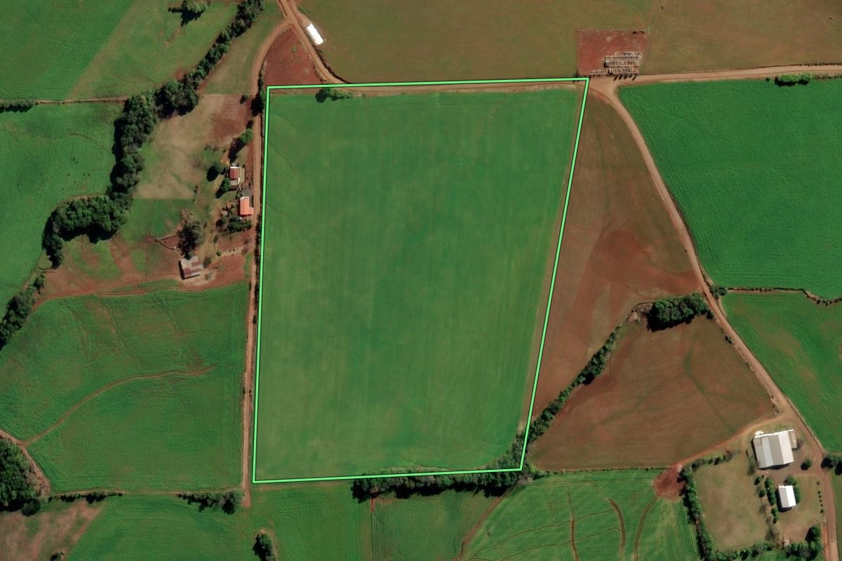 Imagem de satélite do imóvel rural em Boa Vista do Cadeado (RS), com o contorno declarado no CAR desenhado por cima.