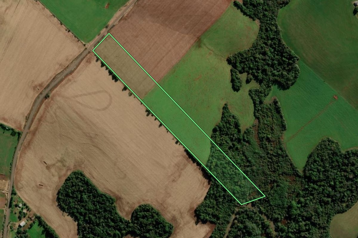 Imagem de satélite do imóvel rural em Boa Vista do Cadeado (RS), com o contorno declarado no CAR desenhado por cima.