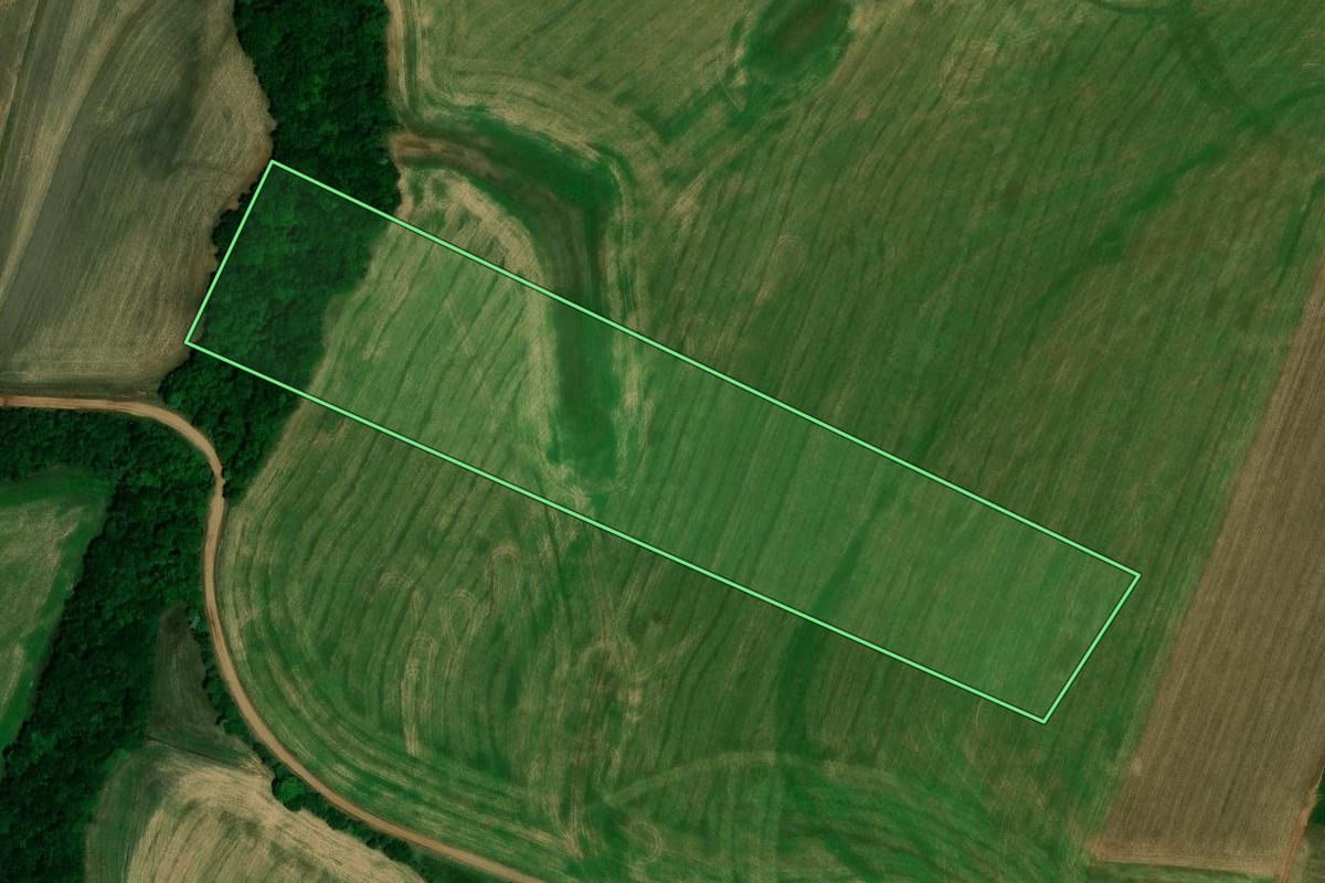 Imagem de satélite do imóvel rural em Boa Vista do Incra (RS), com o contorno declarado no CAR desenhado por cima.