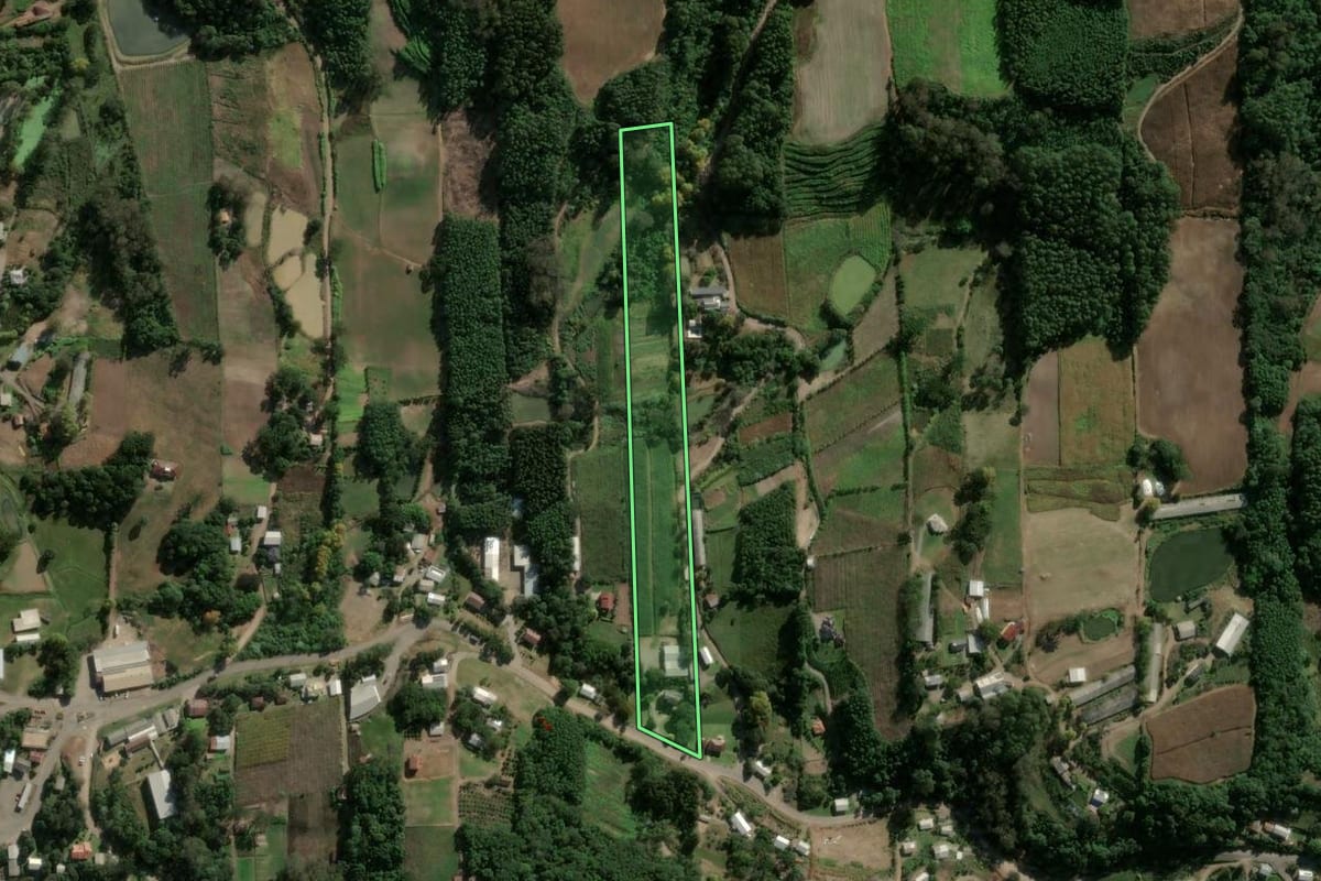 Imagem de satélite do imóvel rural em Boa Vista do Sul (RS), com o contorno declarado no CAR desenhado por cima.
