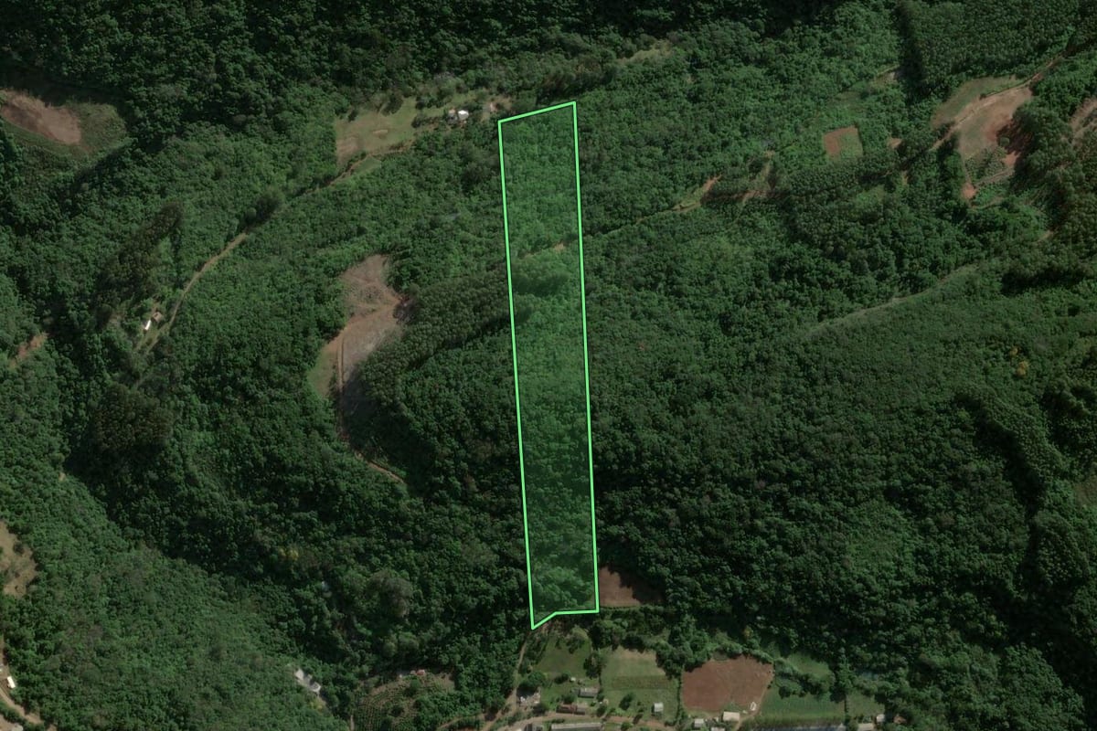 Imagem de satélite do imóvel rural em Boa Vista do Sul (RS), com o contorno declarado no CAR desenhado por cima.