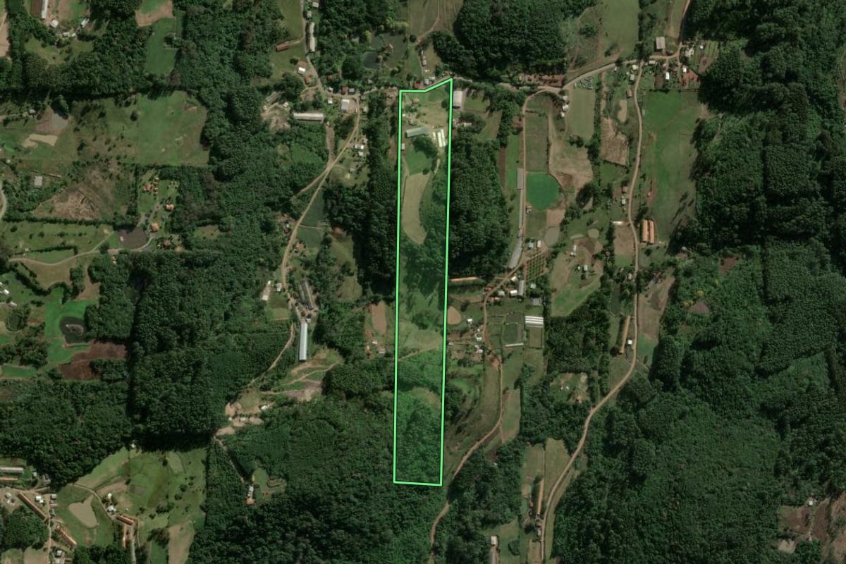 Imagem de satélite do imóvel rural em Boa Vista do Sul (RS), com o contorno declarado no CAR desenhado por cima.