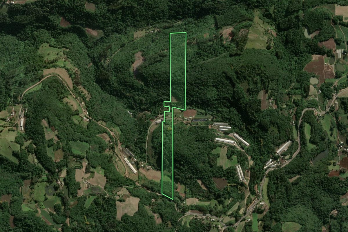 Imagem de satélite do imóvel rural em Boa Vista do Sul (RS), com o contorno declarado no CAR desenhado por cima.