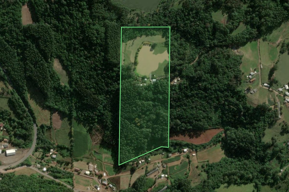 Imagem de satélite do imóvel rural em Boa Vista do Sul (RS), com o contorno declarado no CAR desenhado por cima.