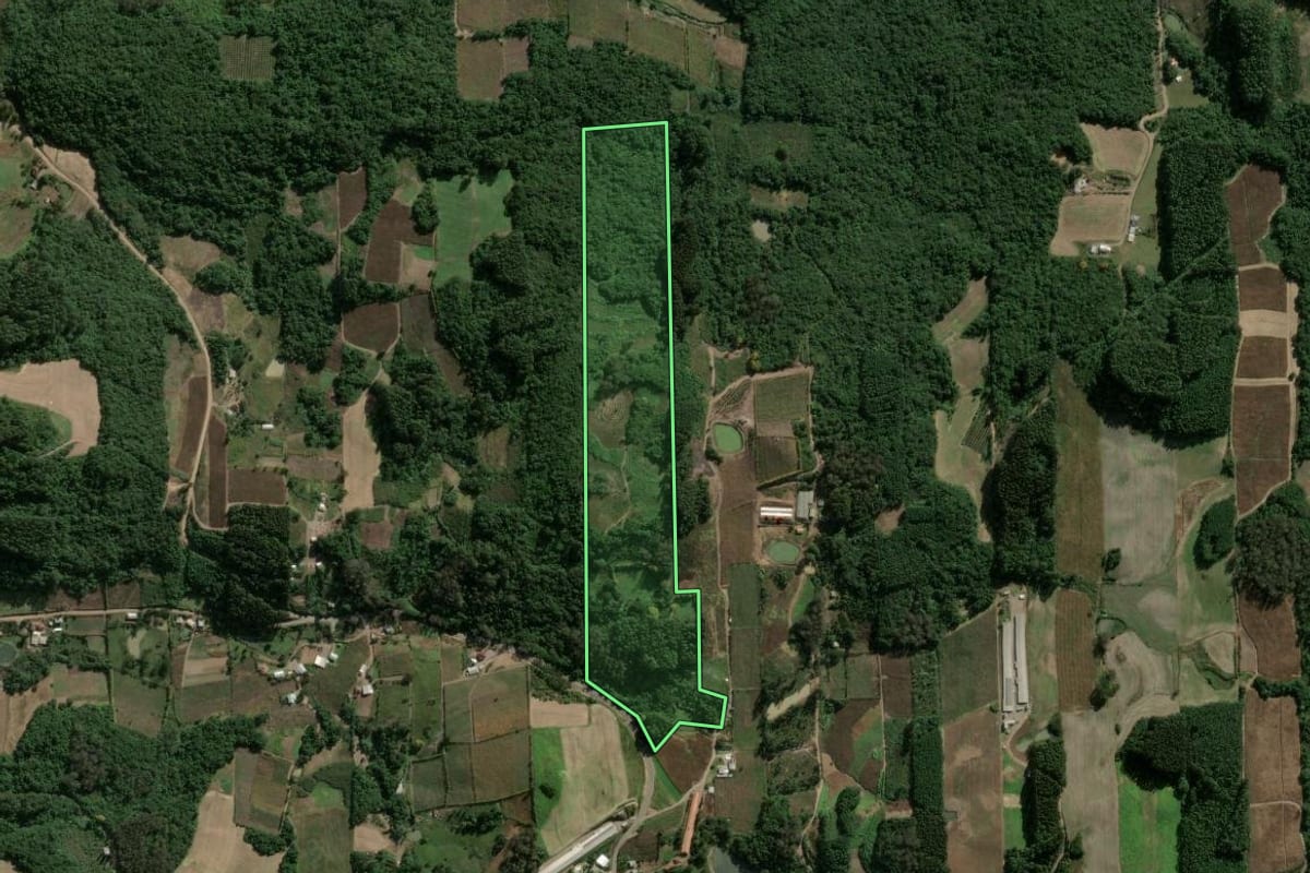 Imagem de satélite do imóvel rural em Boa Vista do Sul (RS), com o contorno declarado no CAR desenhado por cima.