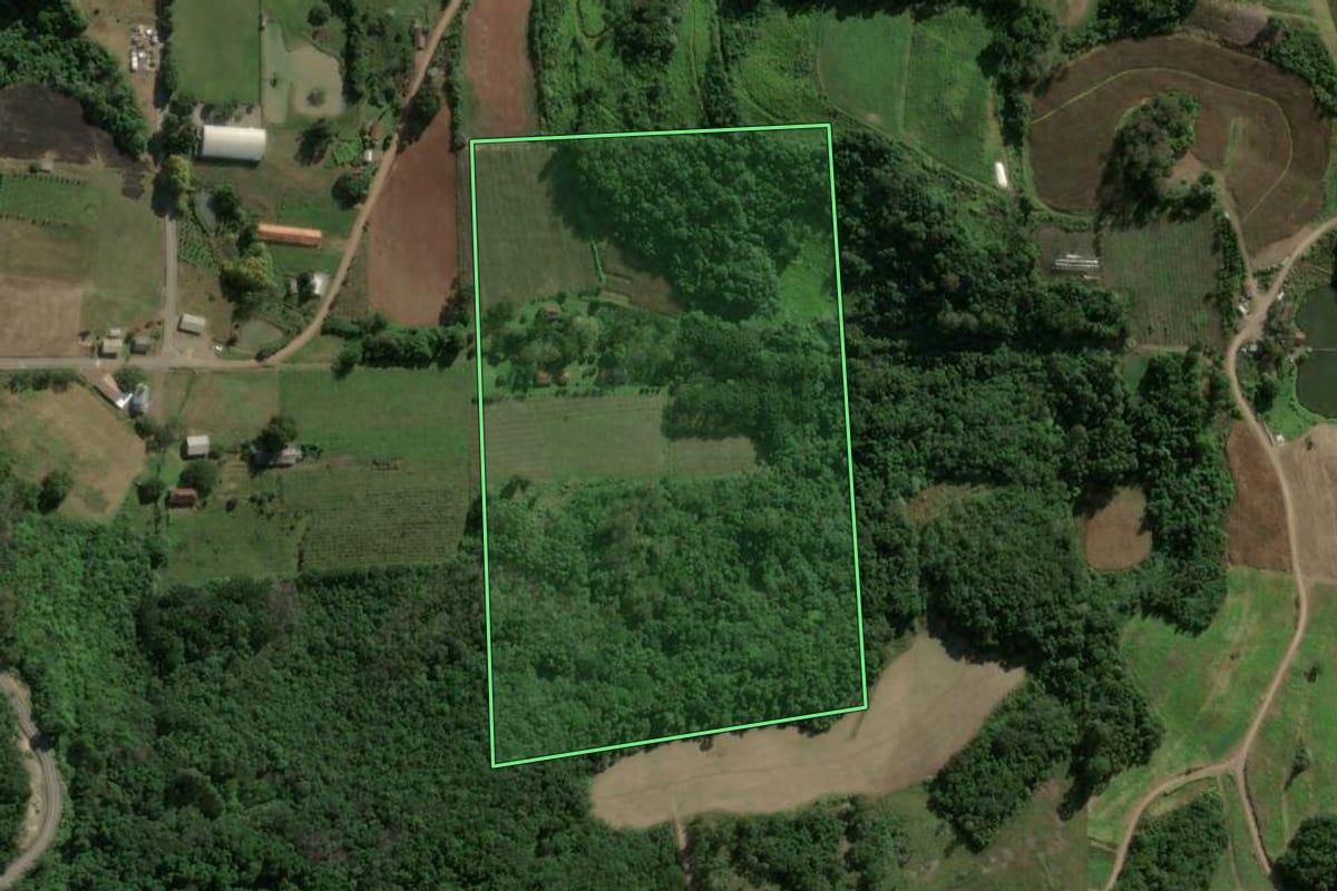 Imagem de satélite do imóvel rural em Boa Vista do Sul (RS), com o contorno declarado no CAR desenhado por cima.