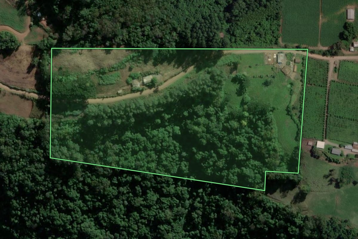 Imagem de satélite do imóvel rural em Boa Vista do Sul (RS), com o contorno declarado no CAR desenhado por cima.