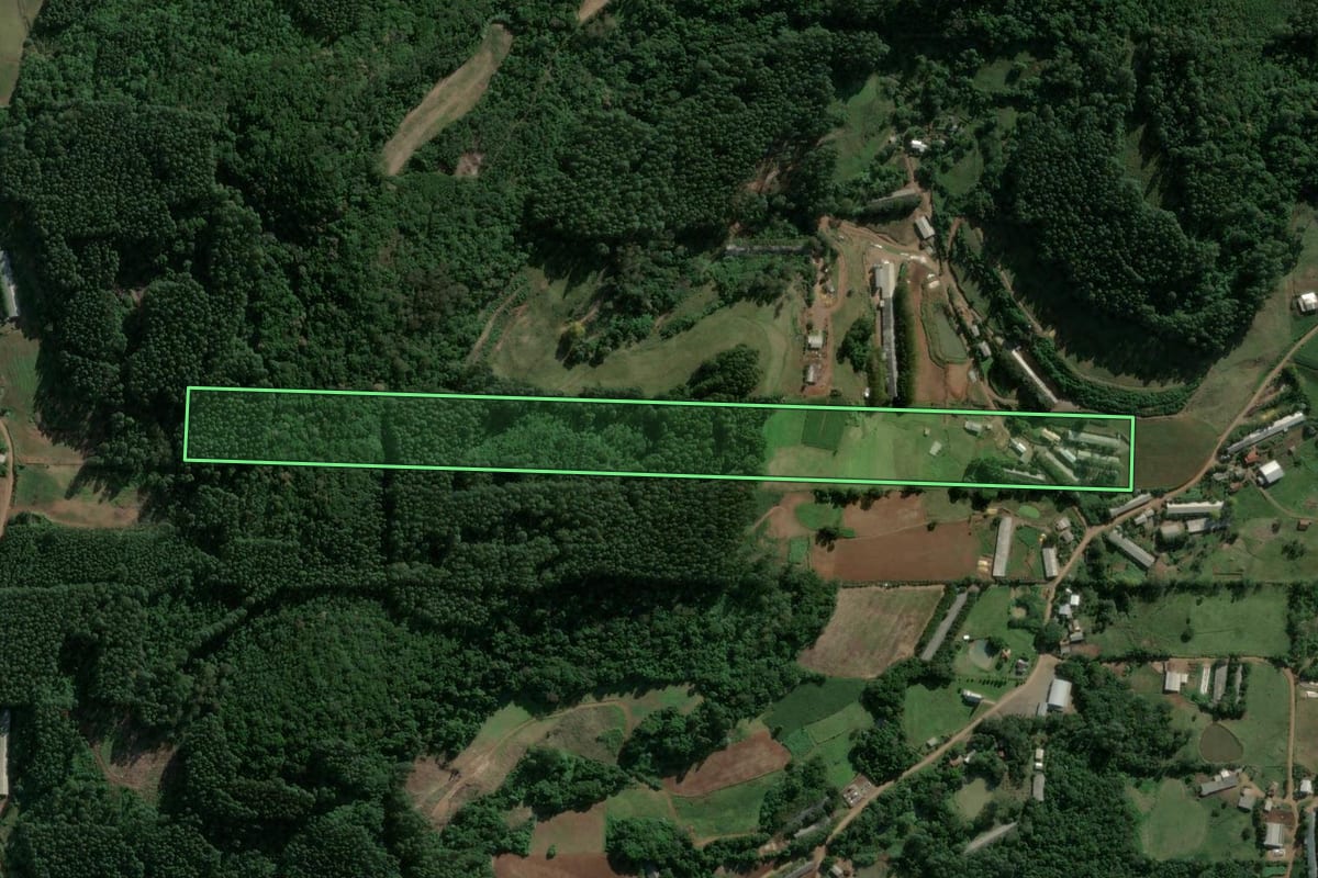 Imagem de satélite do imóvel rural em Boa Vista do Sul (RS), com o contorno declarado no CAR desenhado por cima.