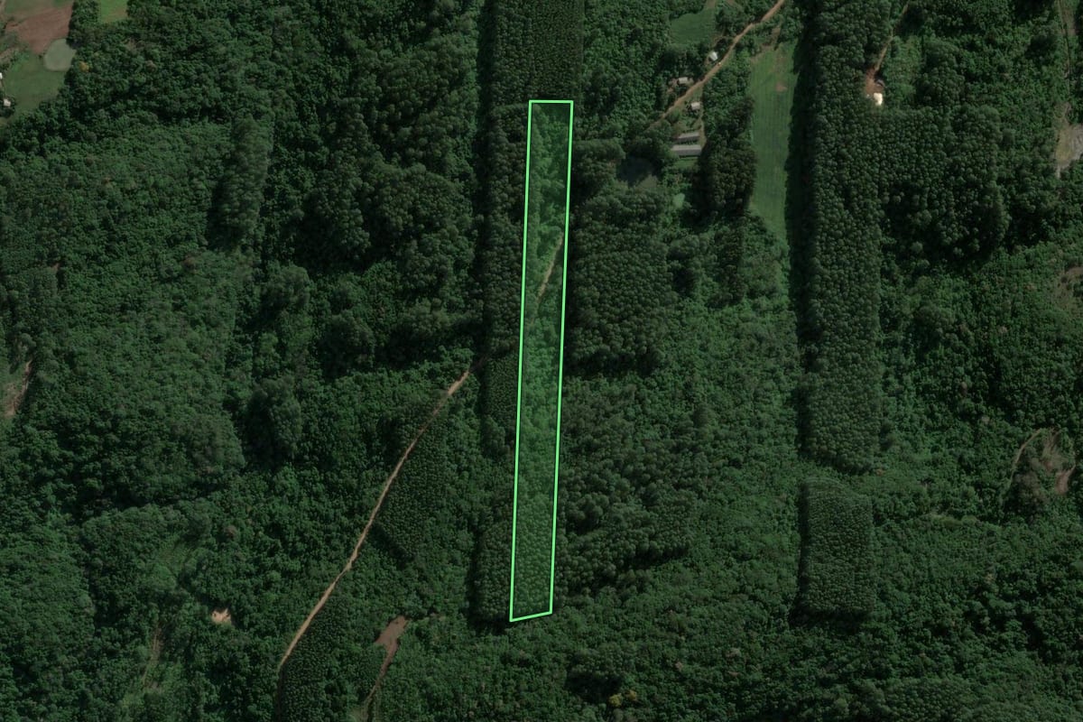 Imagem de satélite do imóvel rural em Boa Vista do Sul (RS), com o contorno declarado no CAR desenhado por cima.