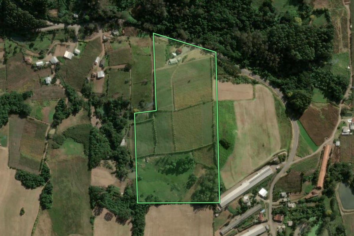 Imagem de satélite do imóvel rural em Boa Vista do Sul (RS), com o contorno declarado no CAR desenhado por cima.