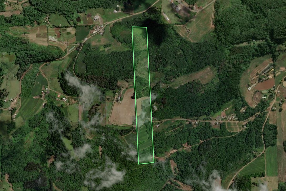 Imagem de satélite do imóvel rural em Boa Vista do Sul (RS), com o contorno declarado no CAR desenhado por cima.