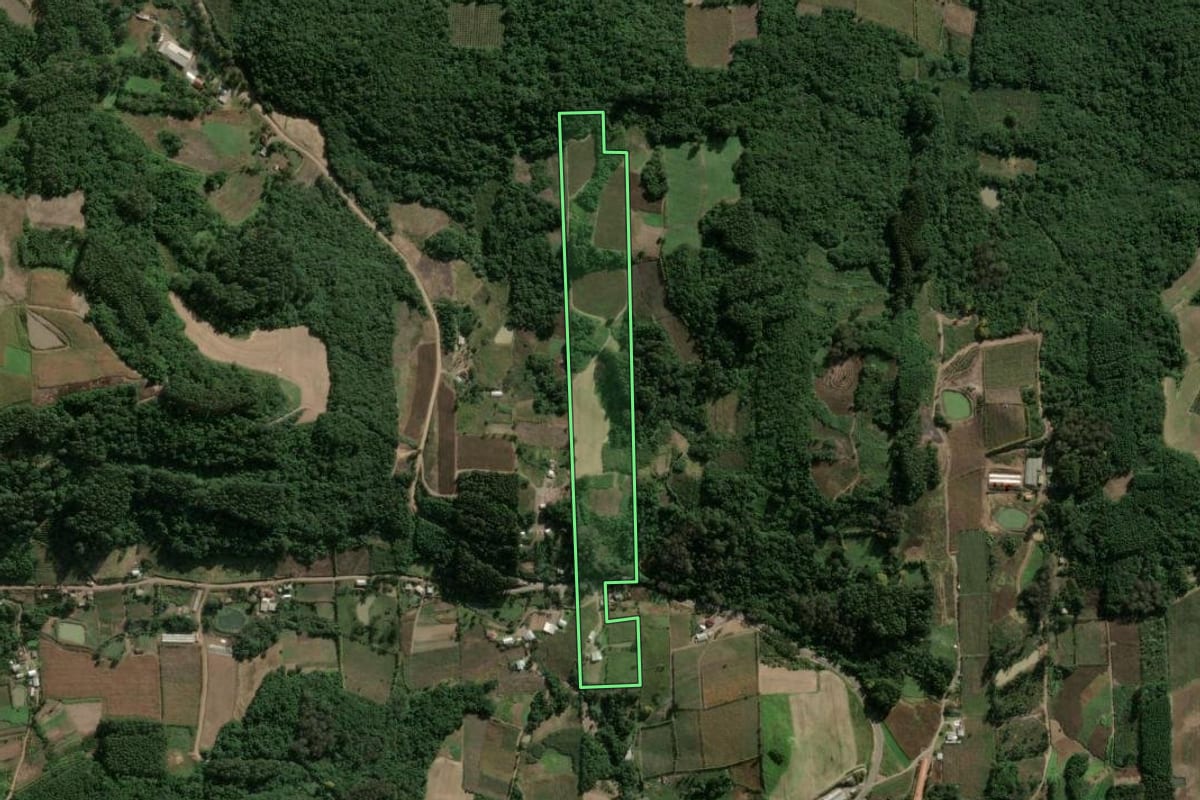 Imagem de satélite do imóvel rural em Boa Vista do Sul (RS), com o contorno declarado no CAR desenhado por cima.