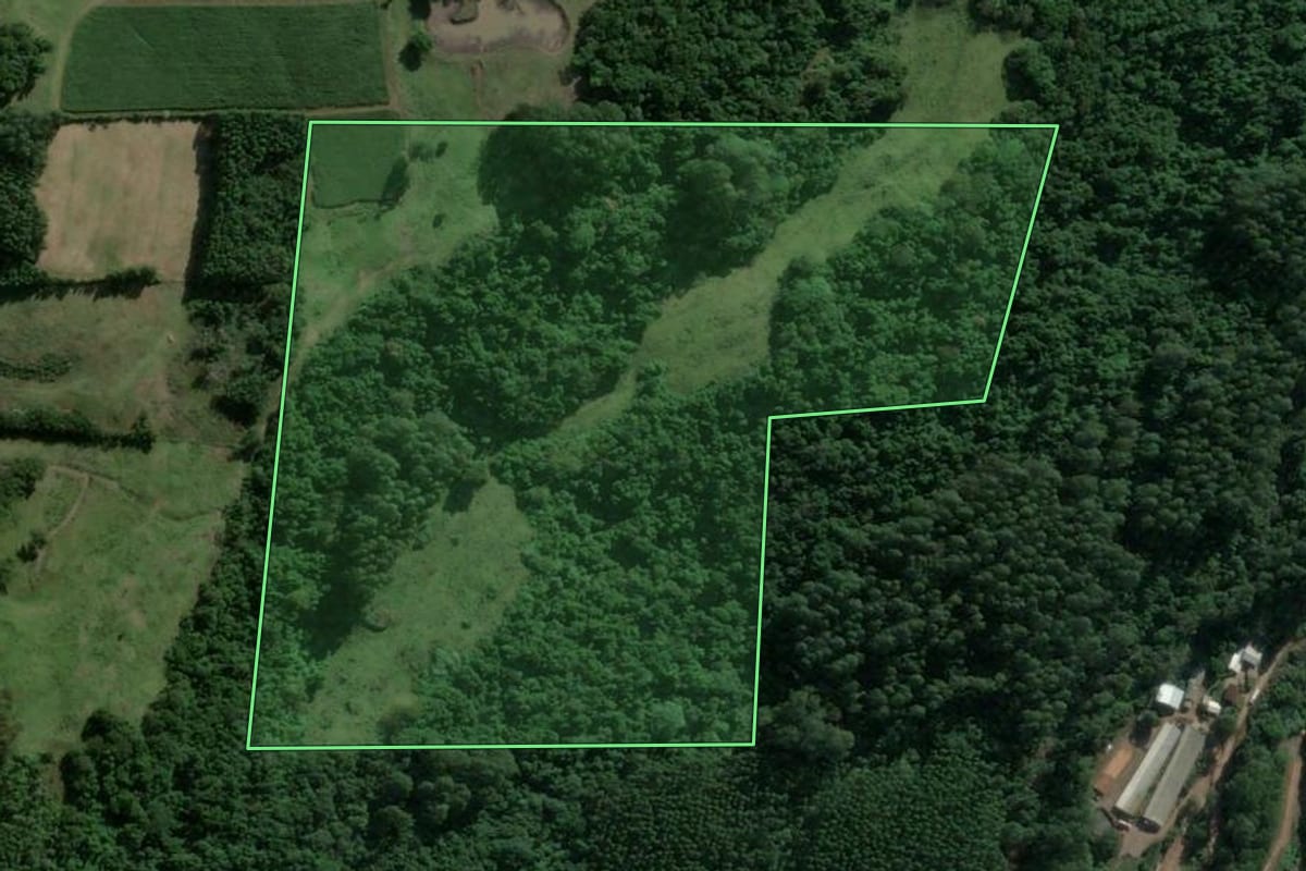 Imagem de satélite do imóvel rural em Boa Vista do Sul (RS), com o contorno declarado no CAR desenhado por cima.