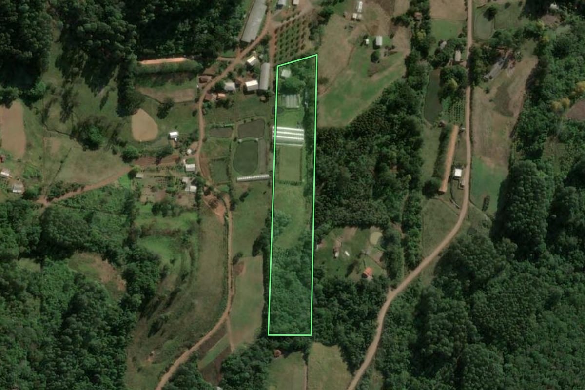 Imagem de satélite do imóvel rural em Boa Vista do Sul (RS), com o contorno declarado no CAR desenhado por cima.