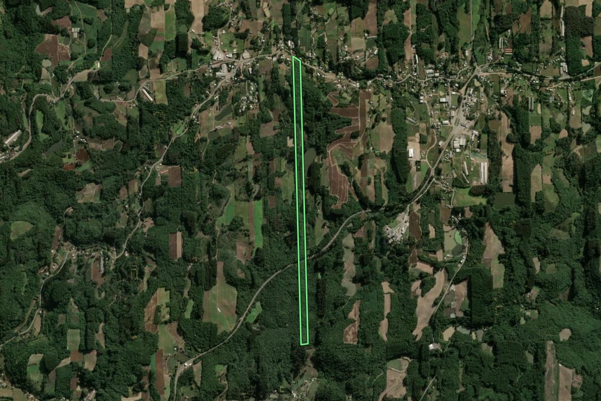 Imagem de satélite do imóvel rural em Boa Vista do Sul (RS), com o contorno declarado no CAR desenhado por cima.