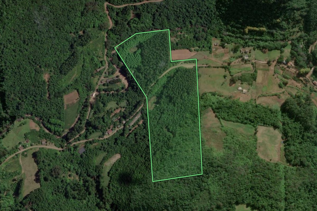 Imagem de satélite do imóvel rural em Boa Vista do Sul (RS), com o contorno declarado no CAR desenhado por cima.