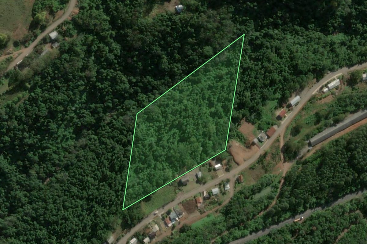Imagem de satélite do imóvel rural em Boa Vista do Sul (RS), com o contorno declarado no CAR desenhado por cima.