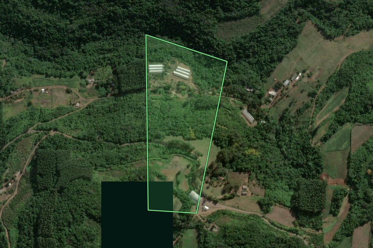 Imagem de satélite do imóvel rural em Boa Vista do Sul (RS), com o contorno declarado no CAR desenhado por cima.