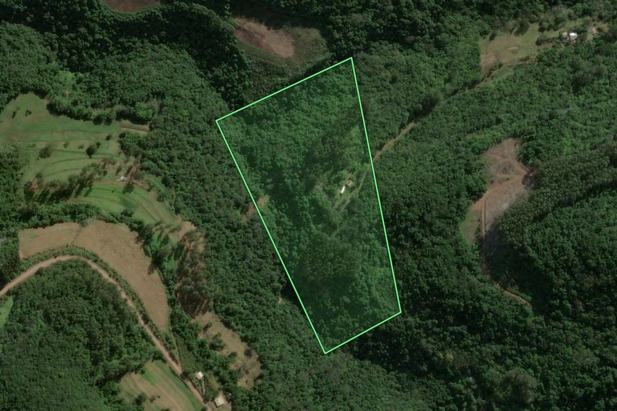 Imagem de satélite do imóvel rural em Boa Vista do Sul (RS), com o contorno declarado no CAR desenhado por cima.