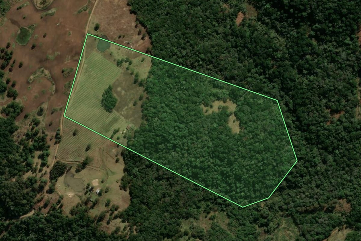 Imagem de satélite do imóvel rural em Bom Jesus (RS), com o contorno declarado no CAR desenhado por cima.