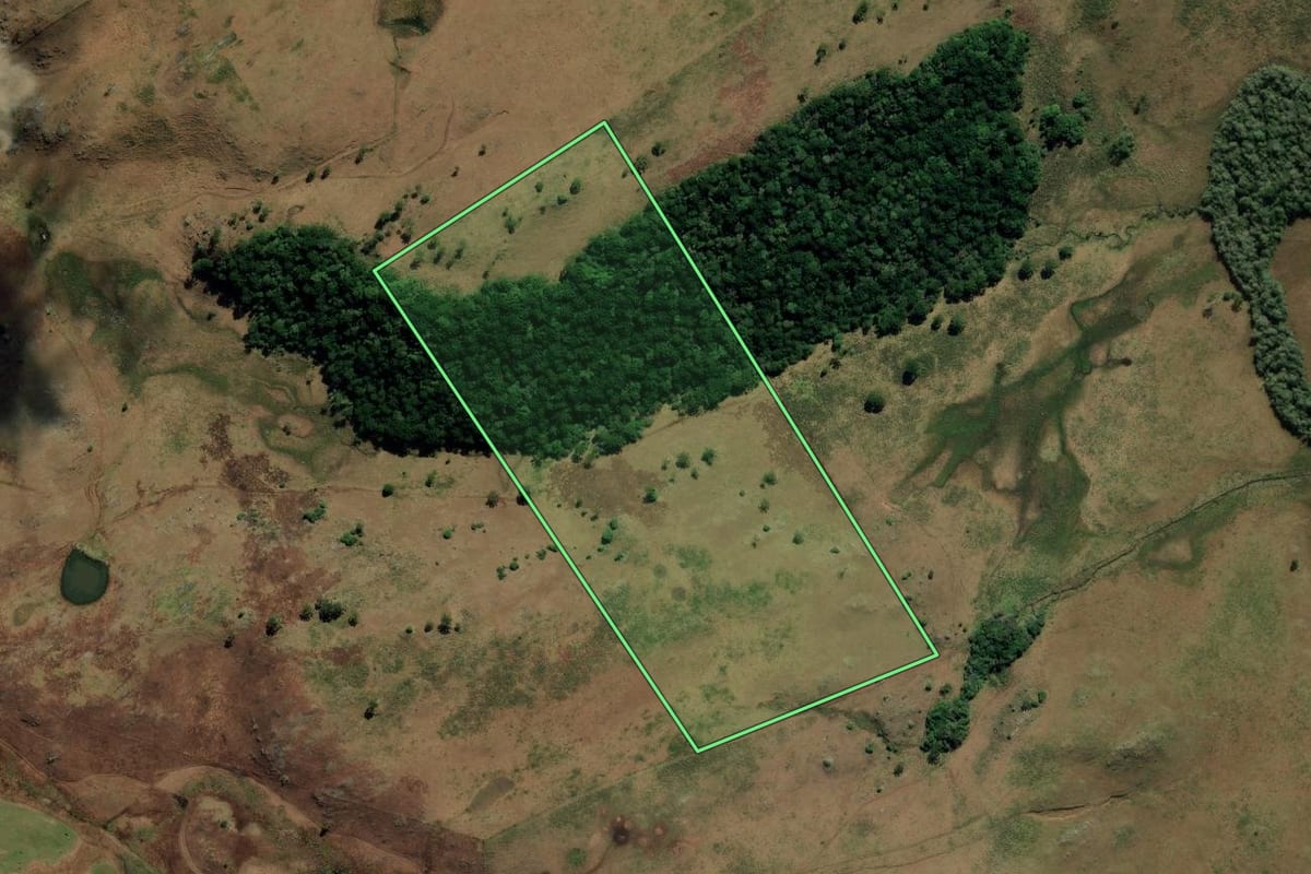 Imagem de satélite do imóvel rural em Bom Jesus (RS), com o contorno declarado no CAR desenhado por cima.