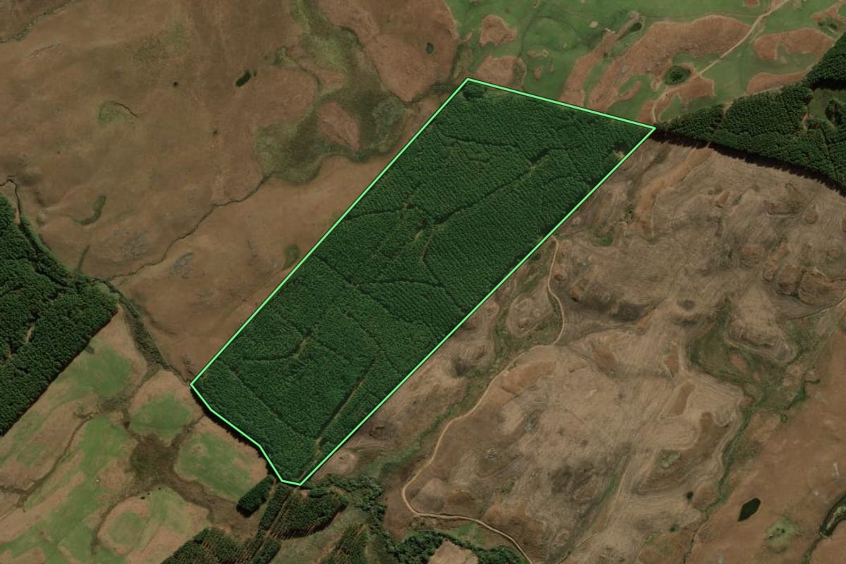 Imagem de satélite do imóvel rural em Bom Jesus (RS), com o contorno declarado no CAR desenhado por cima.