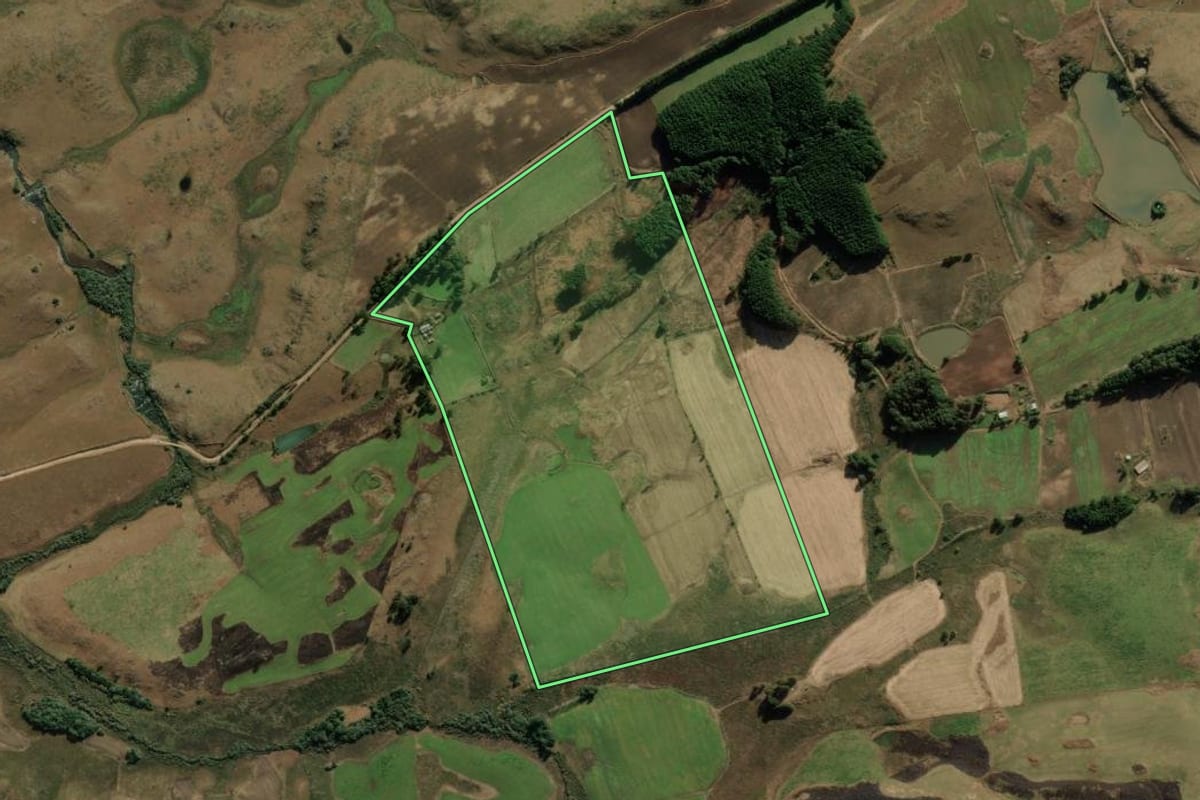 Imagem de satélite do imóvel rural em Bom Jesus (RS), com o contorno declarado no CAR desenhado por cima.