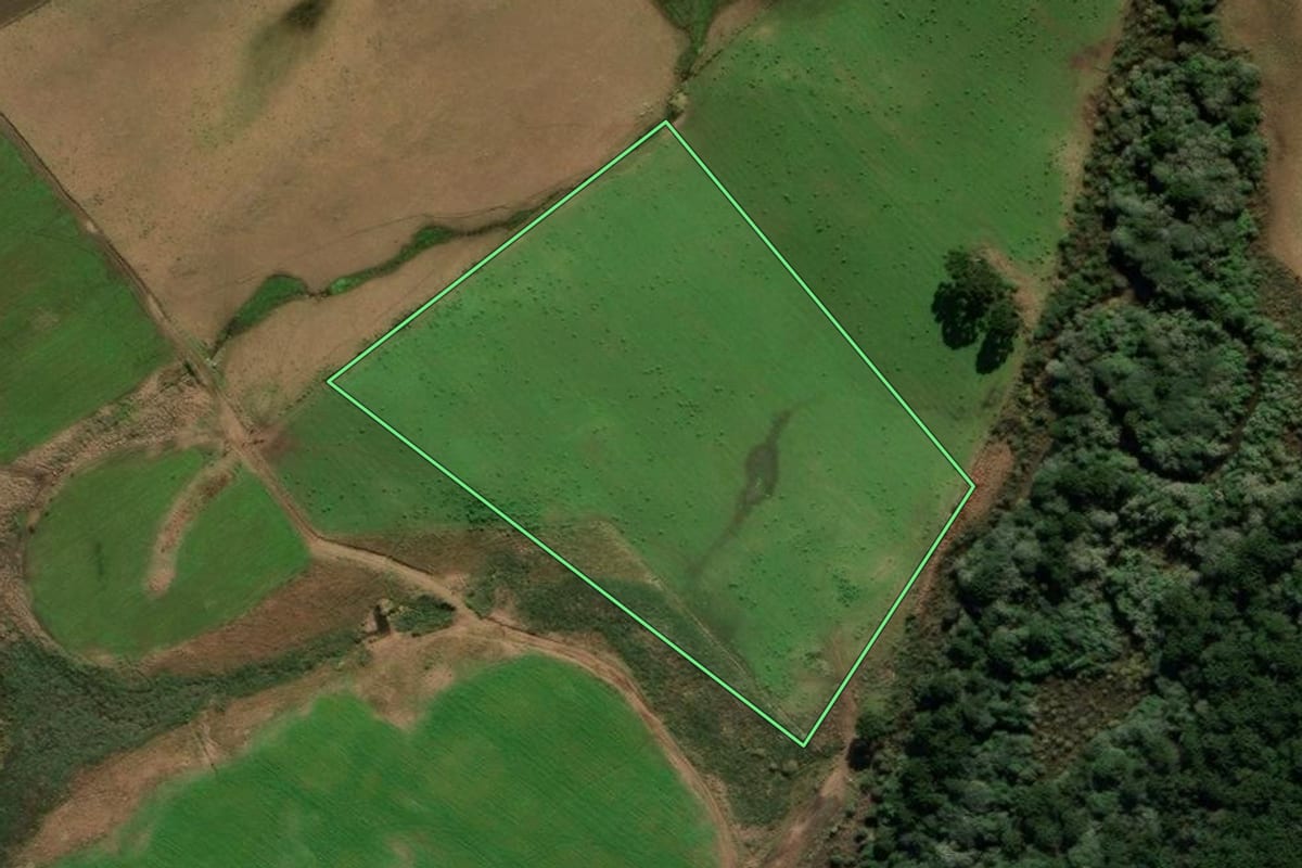 Imagem de satélite do imóvel rural em Bom Jesus (RS), com o contorno declarado no CAR desenhado por cima.