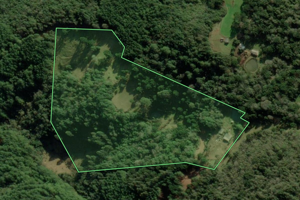 Imagem de satélite do imóvel rural em Bom Jesus (RS), com o contorno declarado no CAR desenhado por cima.