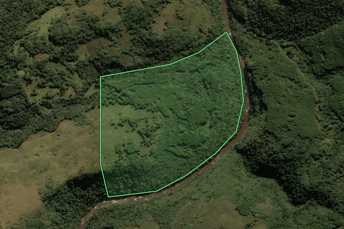 Imagem de satélite do imóvel rural em Bom Jesus (RS), com o contorno declarado no CAR desenhado por cima.