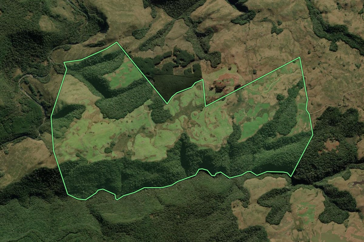 Imagem de satélite do imóvel rural em Bom Jesus (RS), com o contorno declarado no CAR desenhado por cima.
