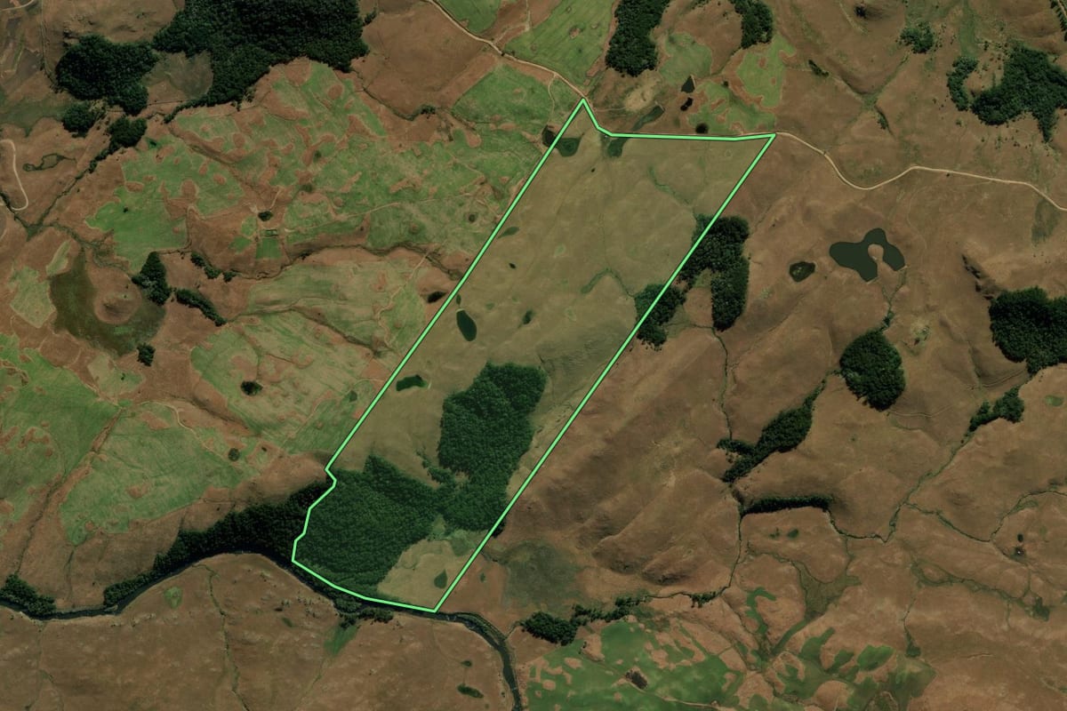 Imagem de satélite do imóvel rural em Bom Jesus (RS), com o contorno declarado no CAR desenhado por cima.