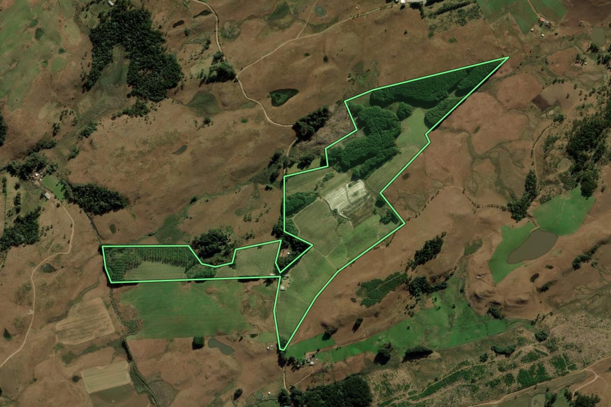 Imagem de satélite do imóvel rural em Bom Jesus (RS), com o contorno declarado no CAR desenhado por cima.