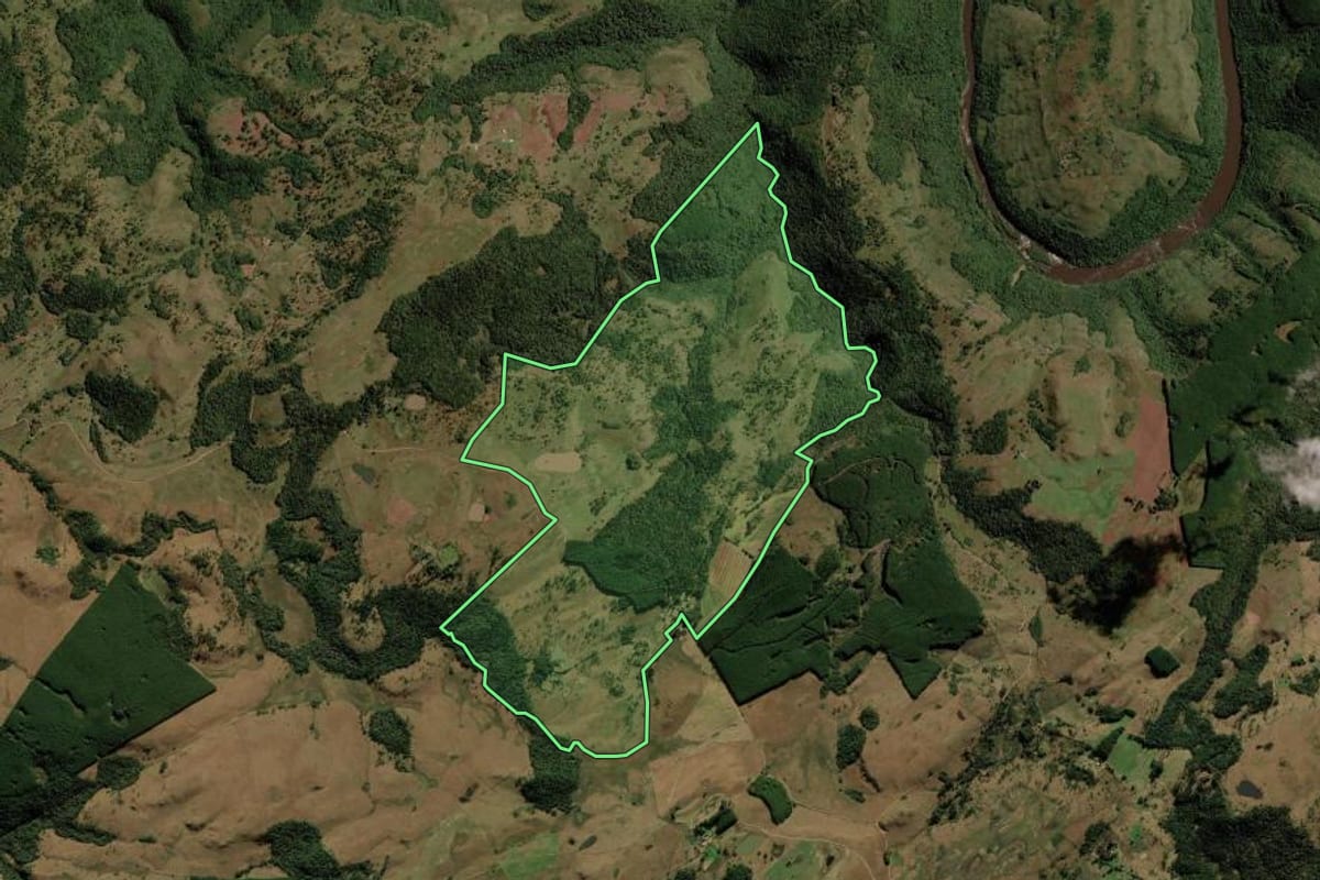 Imagem de satélite do imóvel rural em Bom Jesus (RS), com o contorno declarado no CAR desenhado por cima.