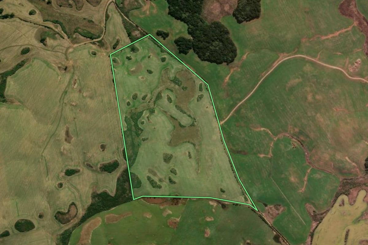 Imagem de satélite do imóvel rural em Bom Jesus (RS), com o contorno declarado no CAR desenhado por cima.