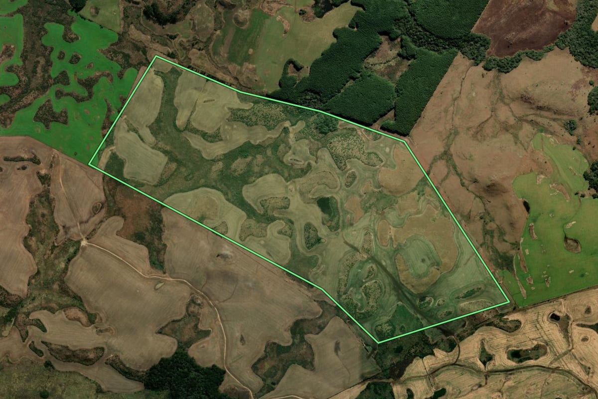 Imagem de satélite do imóvel rural em Bom Jesus (RS), com o contorno declarado no CAR desenhado por cima.