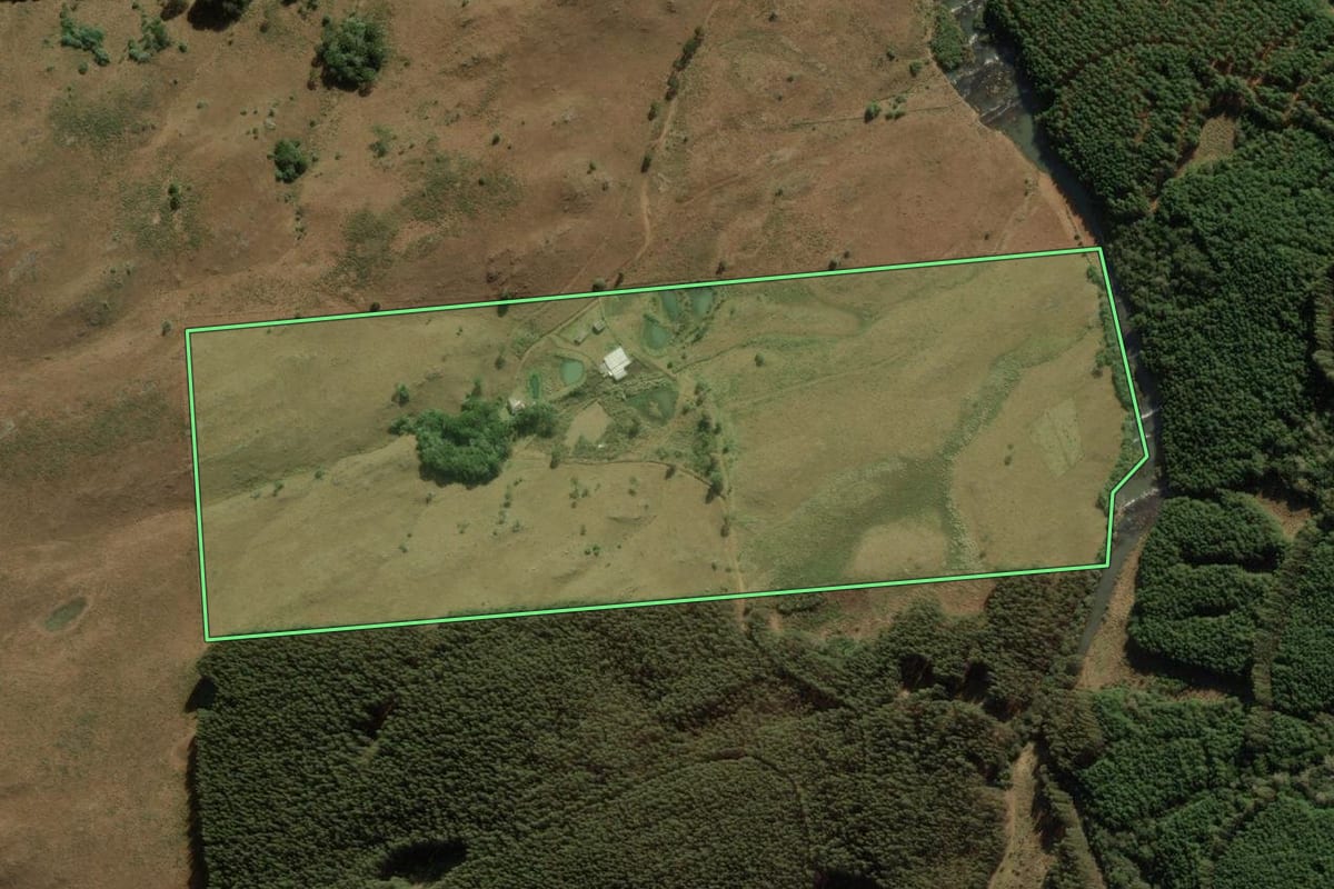 Imagem de satélite do imóvel rural em Bom Jesus (RS), com o contorno declarado no CAR desenhado por cima.