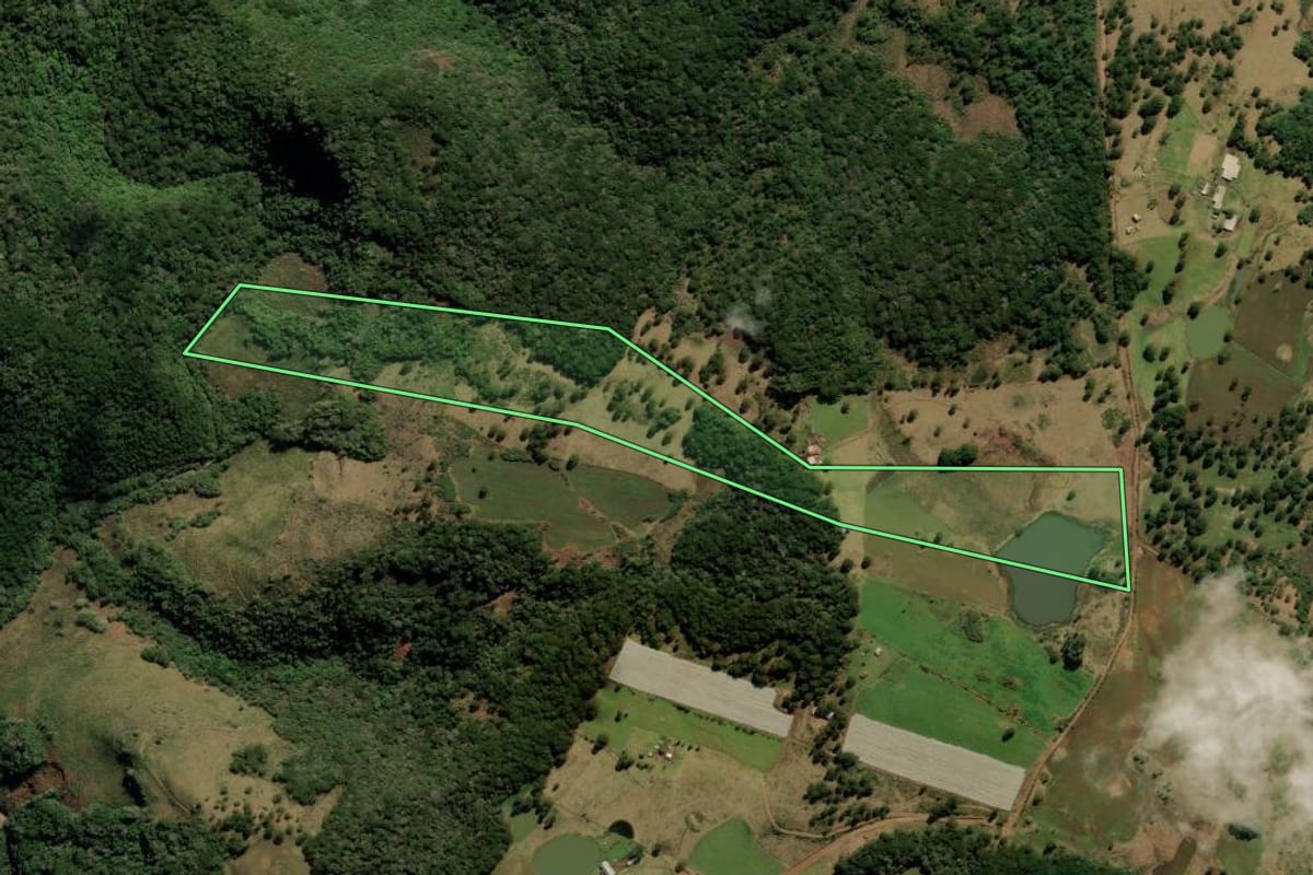 Imagem de satélite do imóvel rural em Bom Jesus (RS), com o contorno declarado no CAR desenhado por cima.