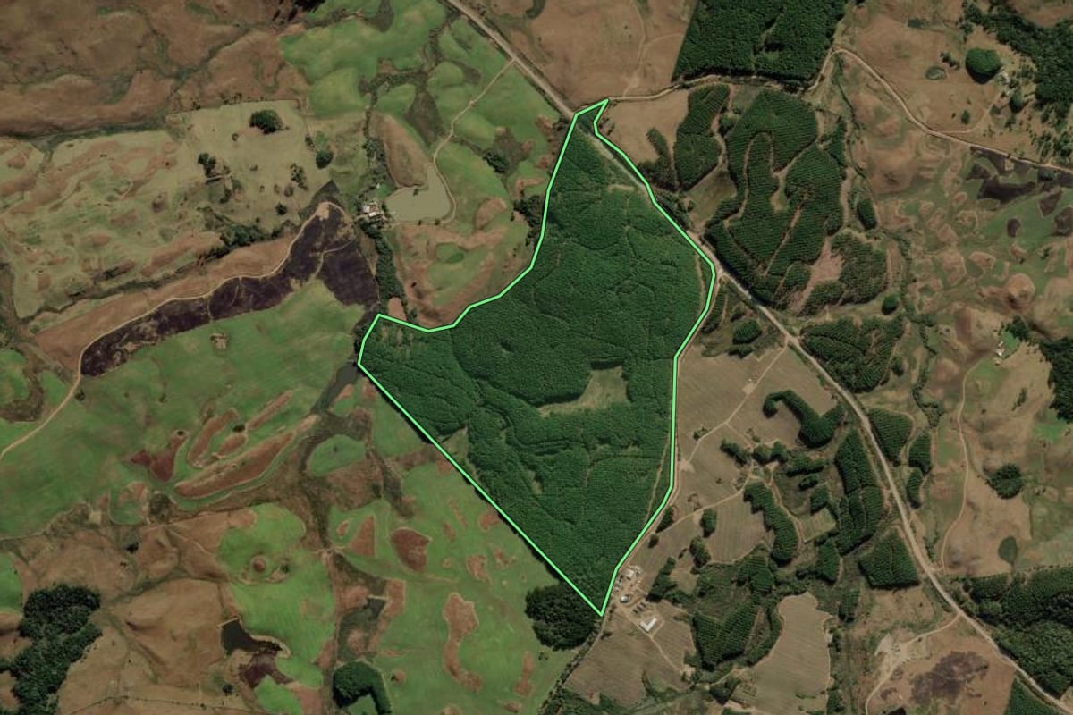 Imagem de satélite do imóvel rural em Bom Jesus (RS), com o contorno declarado no CAR desenhado por cima.