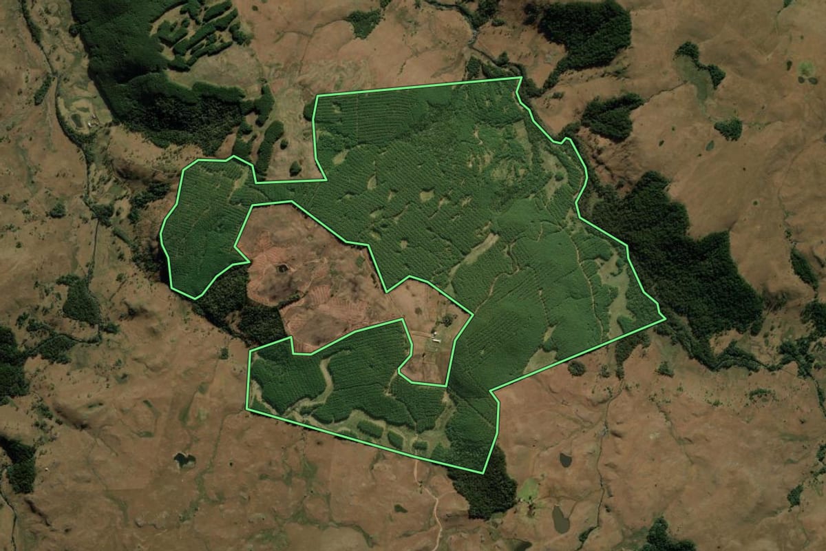 Imagem de satélite do imóvel rural em Bom Jesus (RS), com o contorno declarado no CAR desenhado por cima.