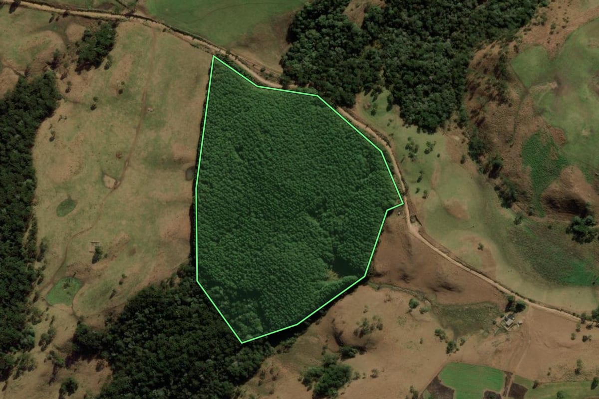 Imagem de satélite do imóvel rural em Bom Jesus (RS), com o contorno declarado no CAR desenhado por cima.