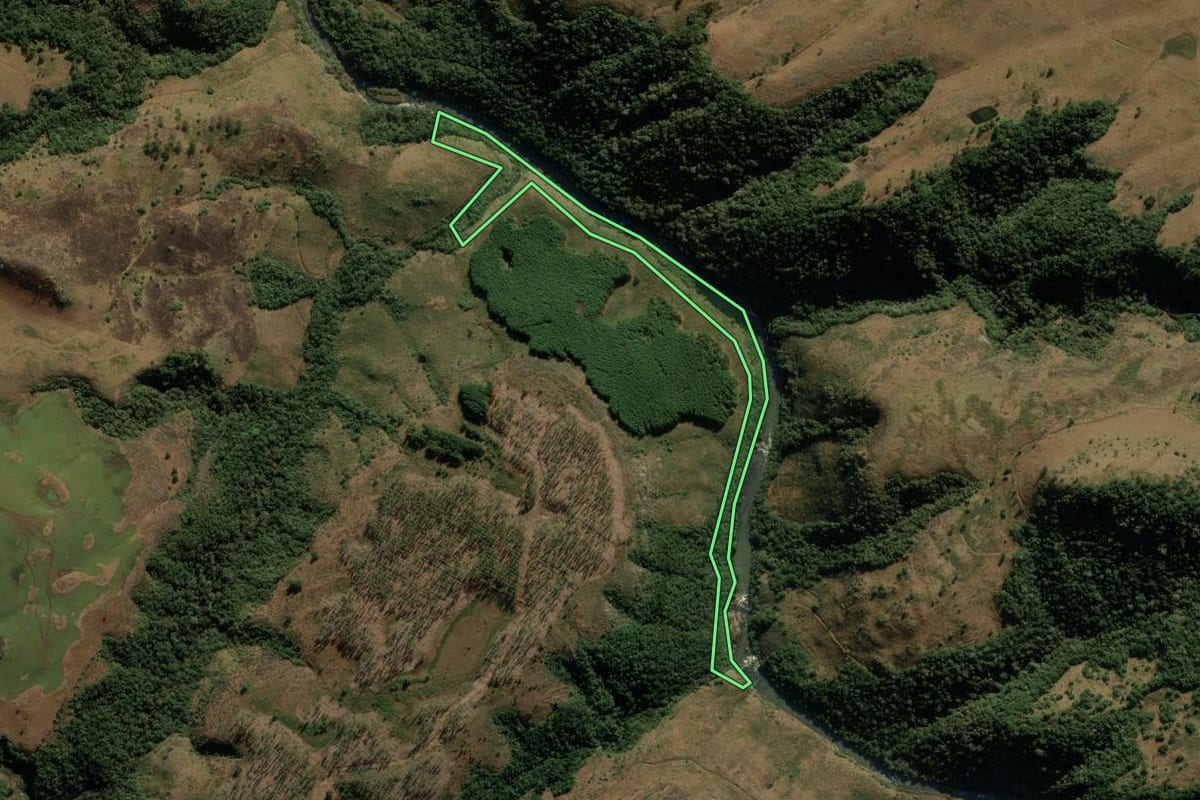 Imagem de satélite do imóvel rural em Bom Jesus (RS), com o contorno declarado no CAR desenhado por cima.