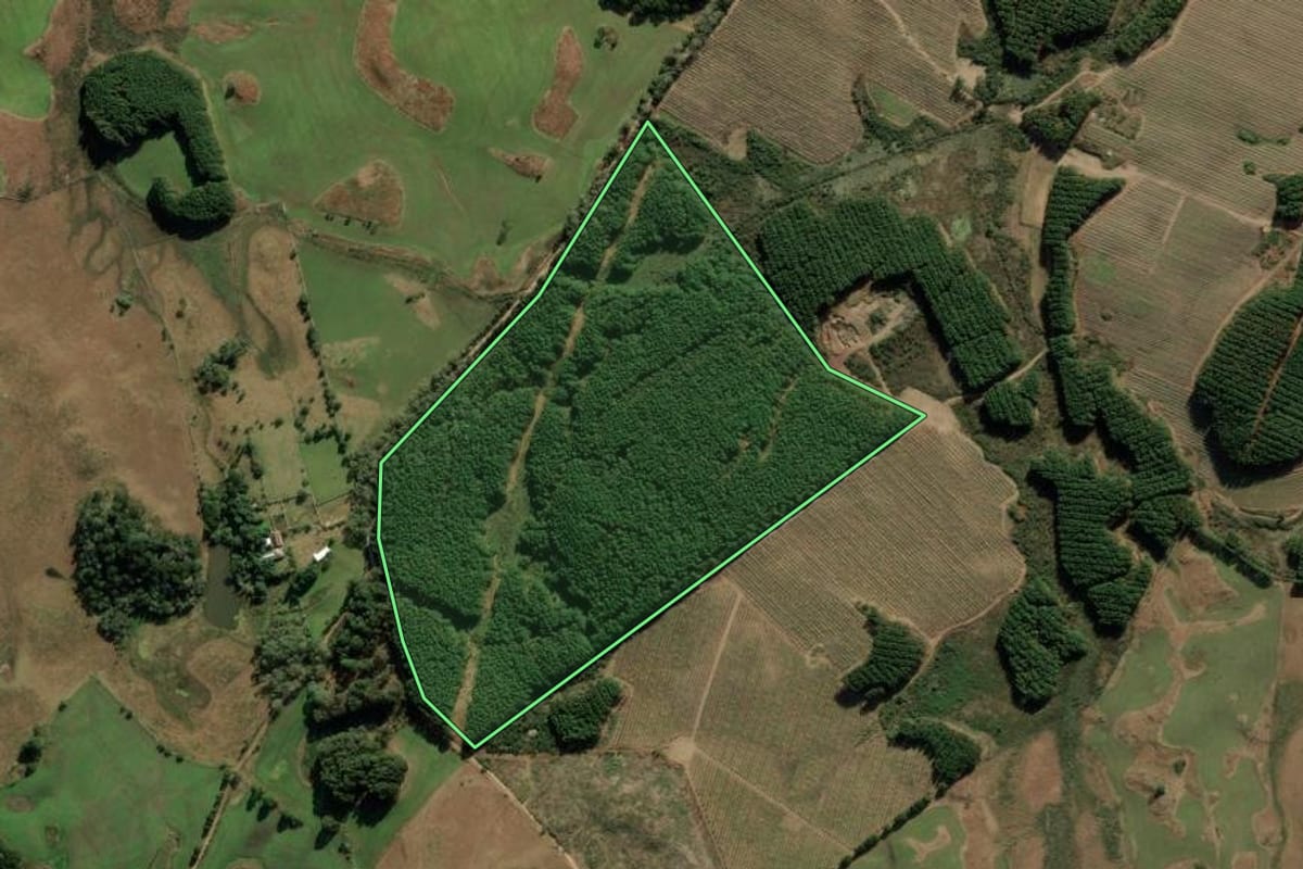 Imagem de satélite do imóvel rural em Bom Jesus (RS), com o contorno declarado no CAR desenhado por cima.