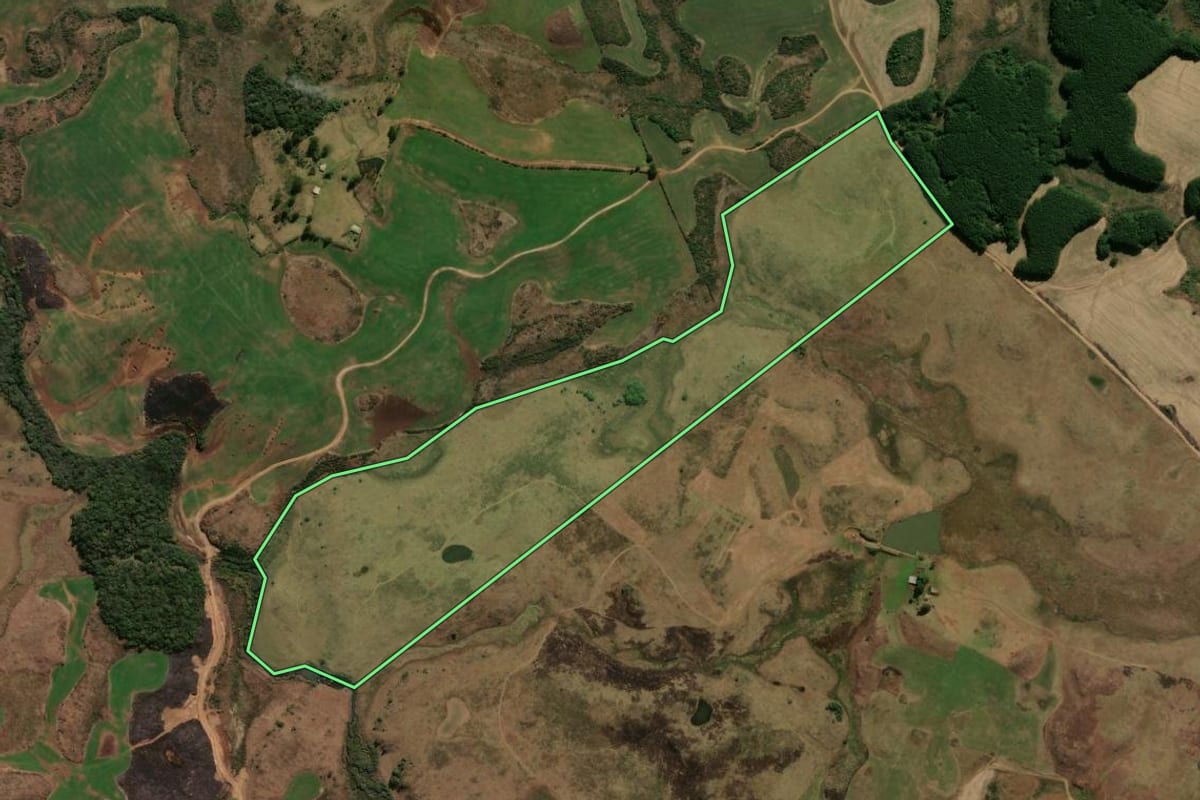 Imagem de satélite do imóvel rural em Bom Jesus (RS), com o contorno declarado no CAR desenhado por cima.