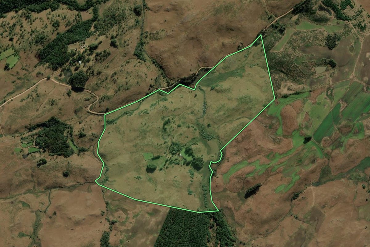 Imagem de satélite do imóvel rural em Bom Jesus (RS), com o contorno declarado no CAR desenhado por cima.