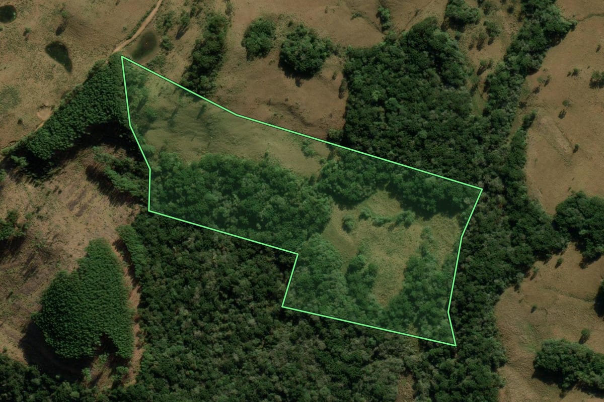 Imagem de satélite do imóvel rural em Bom Jesus (RS), com o contorno declarado no CAR desenhado por cima.