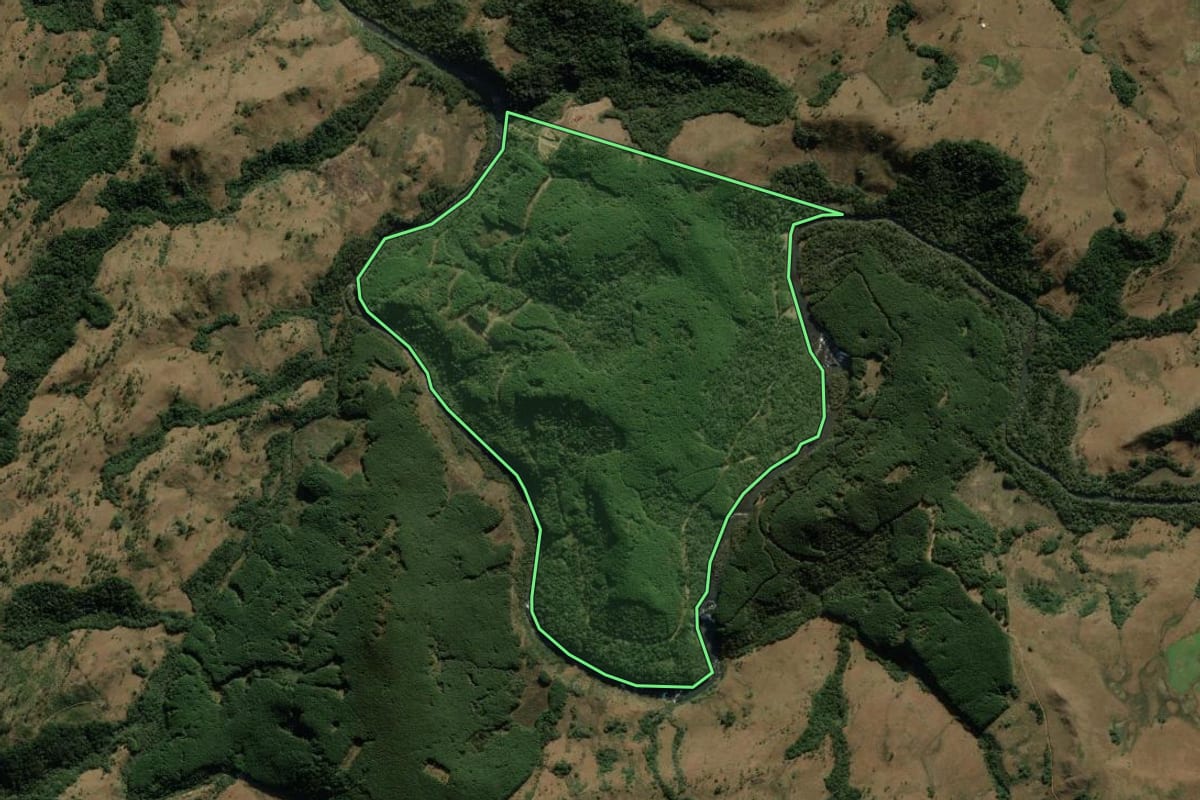Imagem de satélite do imóvel rural em Bom Jesus (RS), com o contorno declarado no CAR desenhado por cima.